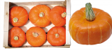Marmito F1 Pumpkin Seeds 1000 seeds