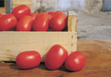 Grandimat F1 Tomato Seeds 1000 seeds