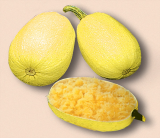 Tivoli F1 Pumpkin Seeds 1000 seeds