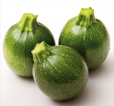 Jupiter F1 Zucchini Seeds 1000 seeds