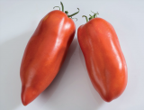 Andine Cornue Tomato Seeds 1000 seeds