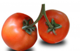 Electra F1 Tomato Seeds 1000 seeds