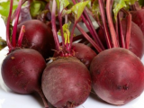 Globe 2 Race Lorette F1 Beetroots Seeds 1kg