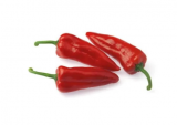 Bellisa Pepper Seeds 500 seeds
