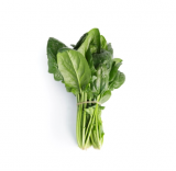 Manatee Spinach Seeds 1000000 seeds