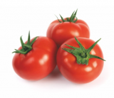Ventema F1 Tomato Seeds 1000 seeds