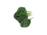 Pizote Spinach Seeds 1000000