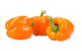 Romboni Pepper Seeds 500 seeds
