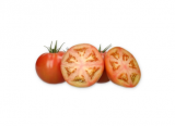 Eyre F1 Tomato Seeds 1000 seeds