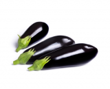 Kesia F1 Eggplant Seeds 500 seeds