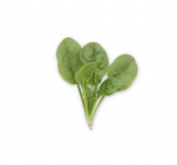 Rattler Spinach Seeds 1.000.000 seeds