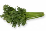 Imperial F1 Celery Seeds 5000 seeds