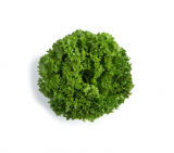 Liadine Lettuce Seeds 5000 seeds