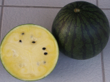 Amarillo Watermelon Seeds 500 seeds