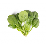 Diamondback Spinach Seeds 1.000.000 seeds