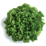 Kiley Lettuce Seeds 5000 seeds