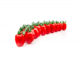 Leoncino F1 Tomato Seeds 1000 seeds