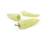 Symi Pepper Seeds 500 seeds