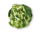 Euridice Lettuce Seeds 5000 seeds