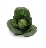 Boleroma Cabbage Seeds 2.500 seeds