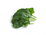 Albacore Spinach Seeds 1.000.000 seeds
