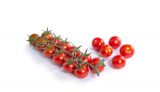 Cuarzyta F1 Tomato Seeds 1000 seeds