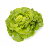 Antolina Lettuce Seeds 5000 seeds