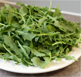 Wild Rocket NOV 5129 DT