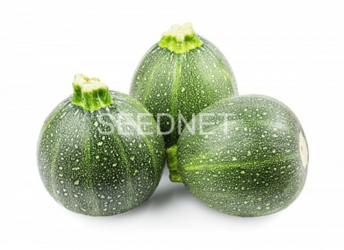 ROUND