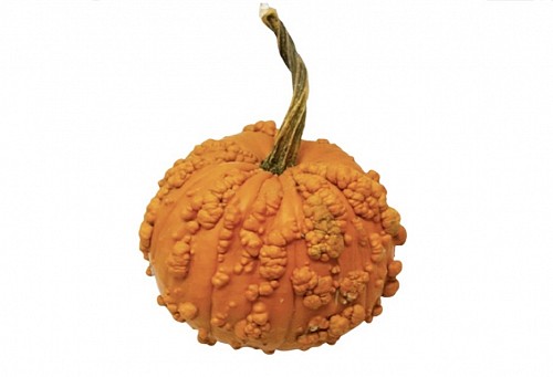 Decorative Gourd