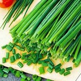 Splendidus F1 Chives Seeds