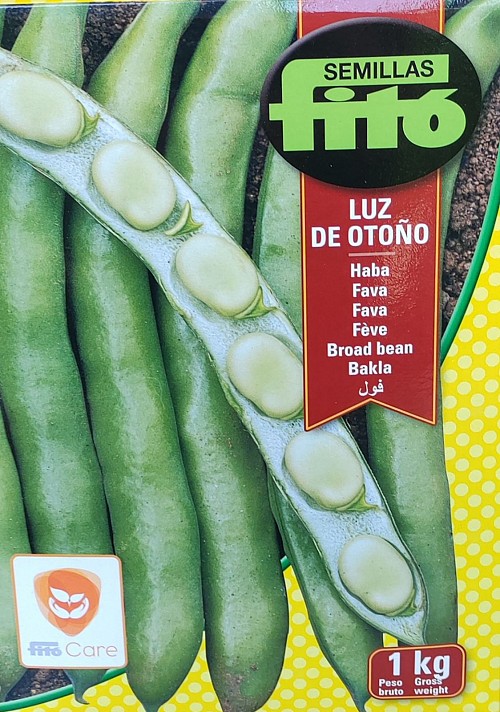 LUZ DE OTONO - 1 Kg seeds