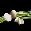 Sweet Kabu F1 Turnip Seeds 500 seeds