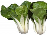 Win Choi F1 Pak Choi Seeds