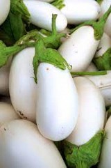 Clara F1 Eggplant Seeds 1000 seeds