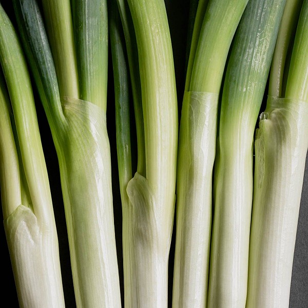 NEGI