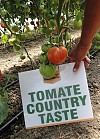 Country Taste F1 Tomato Seeds Marmande