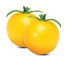 Summer Sun F1 Tomato Seeds Cherry