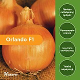 Orlando F1