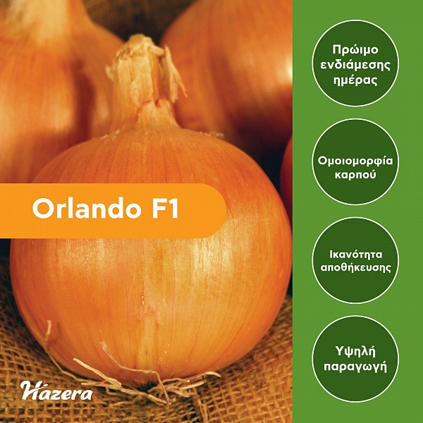 Orlando F1