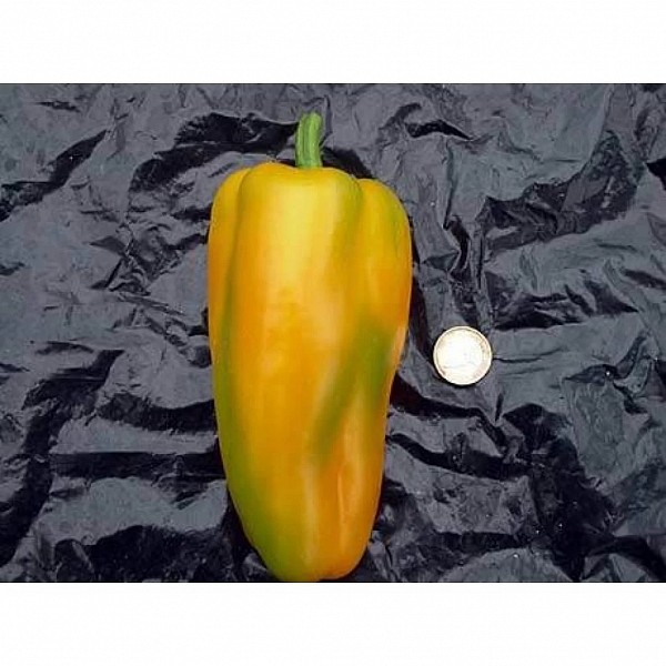 Piruet Pepper Seeds 500 seeds