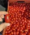 Nysiros Tomato Seeds Specialties