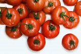 Lansor F1 Tomato Seeds 1000 seeds