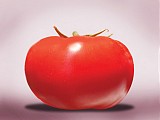 Oasis Tomato Seeds Beef