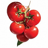 Bizantino f1 Tomato Seeds Beef