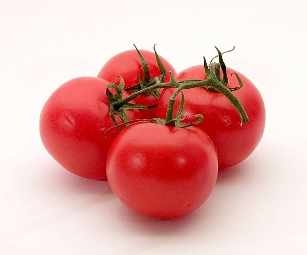Iris F1 Tomato Seeds Beef