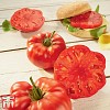 Buffalosteak F1 Tomato Seeds Marmande