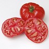 Country Taste F1 Tomato Seeds Marmande