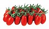 Nettarino F1 Tomato Seeds Plum