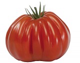 Voluptuoso Tomato Seeds Marmande